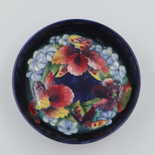 184 - Moorcroft bowl in the Orchid pattern, on a cobalt blue ground, 22cm D. UK P&P Group 2 (£20+VAT for t... 