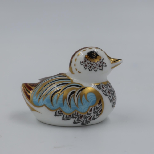 226 - Royal Crown Derby collectors guild duck paperweight, 2009, no chips or cracks. UK P&P Group 1 (£16+V... 