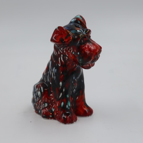 237 - Anita Harris Terrier, signed in gold, no cracks or chips, H: 13 cm. UK P&P Group 1 (£16+VAT for the ... 