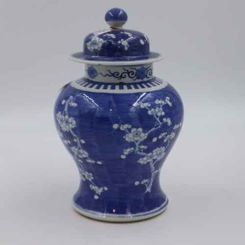 267 - A large Chinese 18th / 19th century temple jar with cover, the body decorated in the prunus pattern,... 