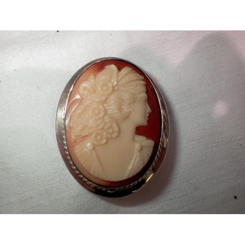 1166 - Hallmarked silver cameo brooch, Chester assay, 47 x 37 mm, 14g. UK P&P Group 1 (£16+VAT for the firs... 