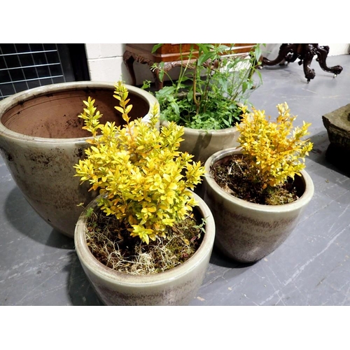 1810B - A pair of brown glazed planters, with two larger matching examples. Not available for in-house P&P