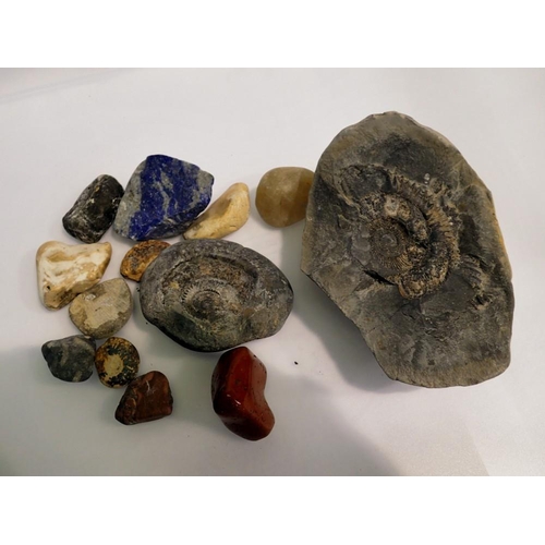 1063 - Collection of various fossils and rocks. UK P&P Group 1 (£16+VAT for the first lot and £2+VAT for su... 