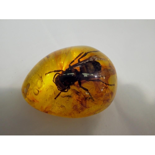 1074 - Hornet preserved in amber resin. UK P&P Group 1 (£16+VAT for the first lot and £2+VAT for subsequent... 