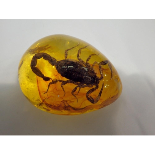 1076 - Scorpion preserved in amber resin. UK P&P Group 1 (£16+VAT for the first lot and £2+VAT for subseque... 