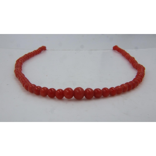 26 - Antique single strand coral necklace with 9ct rose gold clasp. UK P&P Group 0 (£6+VAT for the first ... 