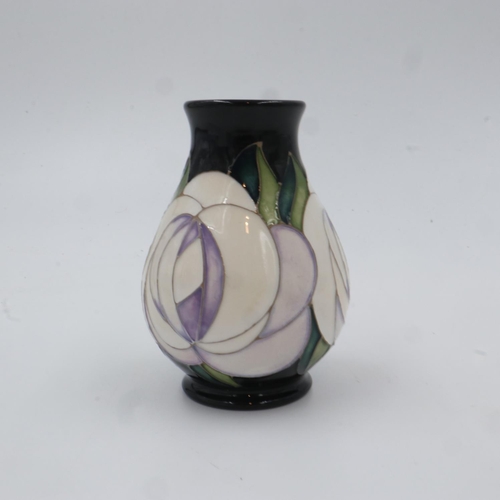 295 - Moorcroft vase in the White Rose pattern, no cracks or chips, H: 18 cm. UK P&P Group 1 (£16+VAT for ... 