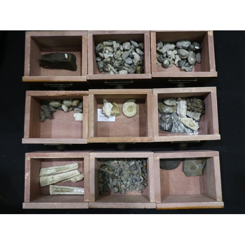 370 - Collection of prehistoric fossils in wooden drawer organsier. UK P&P Group 3 (£16+VAT for the first ... 