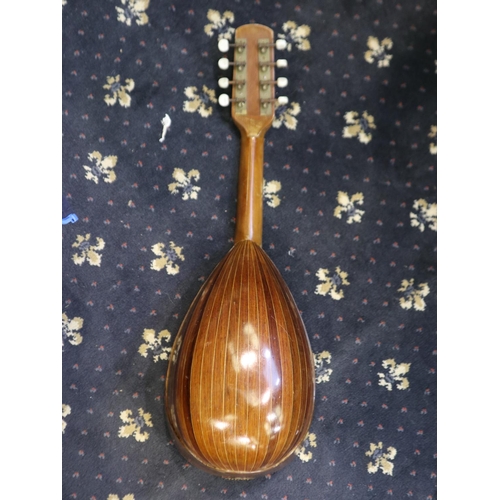 385 - Francesco Catania mandolin, original paper label to interior, L: 32cm. Not available for in-house P&... 