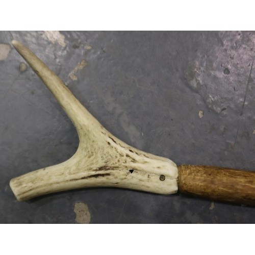 359 - Horn handled walking stick. UK P&P Group 3 (£30+VAT for the first lot and £8+VAT for subsequent lots... 