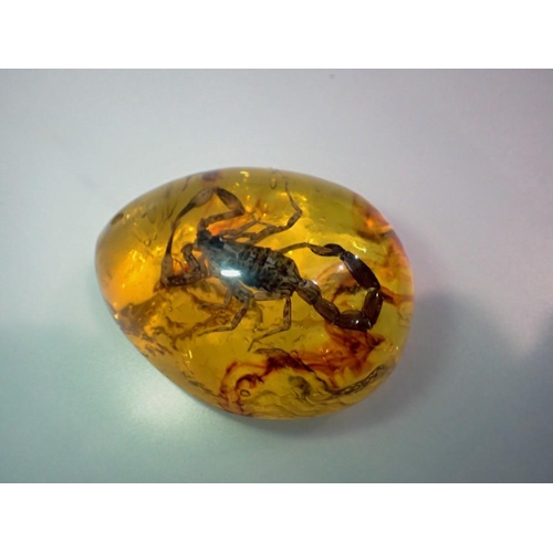 1051 - Scorpion preserved in amber resin. UK P&P Group 1 (£16+VAT for the first lot and £2+VAT for subseque... 