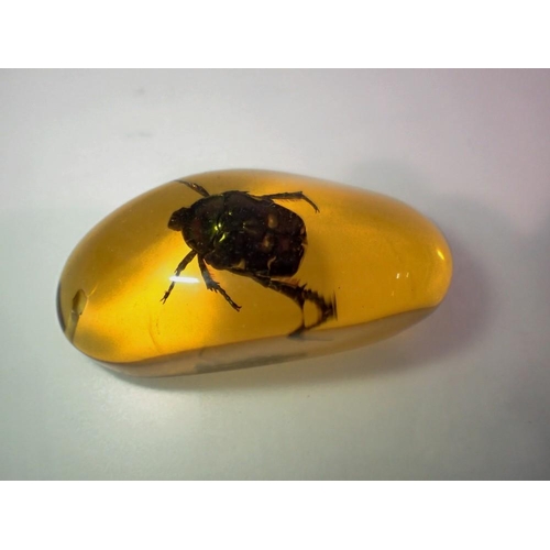 1056 - Green Beetle preserved in amber resin. UK P&P Group 1 (£16+VAT for the first lot and £2+VAT for subs... 