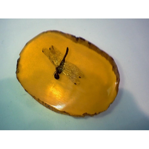 1072 - Dragonfly preserved in amber resin. UK P&P Group 1 (£16+VAT for the first lot and £2+VAT for subsequ... 