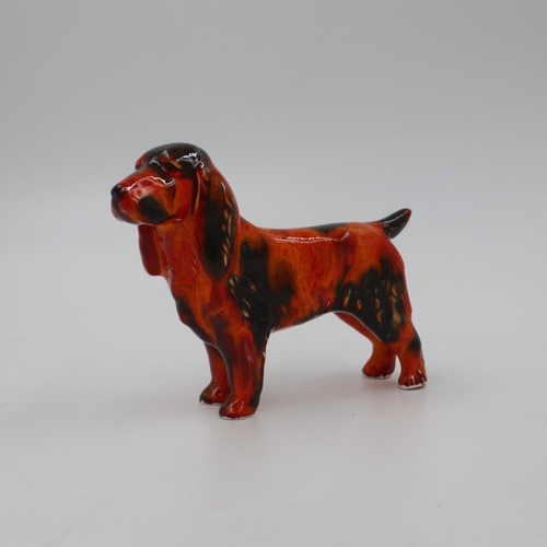 219 - Anita Harris cocker spaniel, signed in gold, no cracks or chips, H: 12 cm. UK P&P Group 1 (£16+VAT f... 