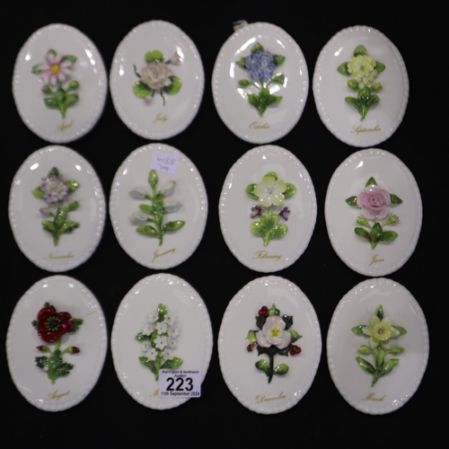 223 - Set of twelve Coalport Months of the Year oval wall plaques, one cracked. UK P&P Group 3 (£30+VAT fo... 