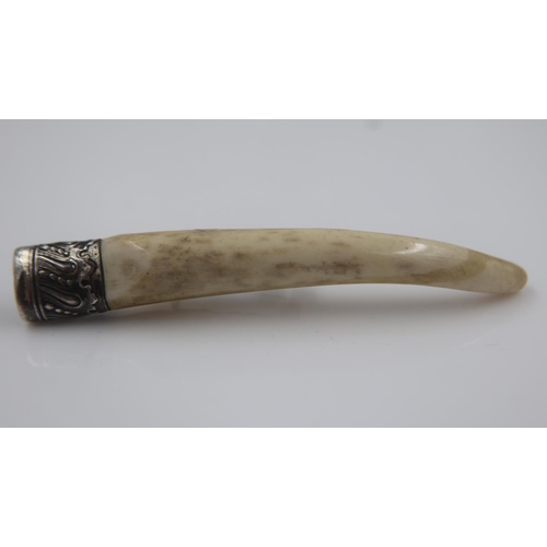 107 - Silver mounted tusk brooch, L: 90. UK P&P Group 0 (£6+VAT for the first lot and £1+VAT for subsequen... 