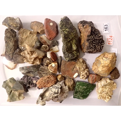 163 - Natural History: a collection of rock and mineral samples, agate slices and encrusted shells. Not av... 