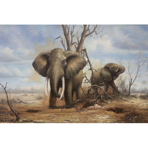 2013 - 20th century oil on board African elephants in the wild, unsinged, image 90 x 60, overall 107 x 76 c... 