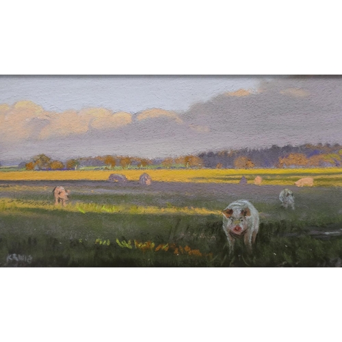 2079 - Kieron Williamson (contemporary): pastel, Southrepps Pigs, from the Six to Sixteen Exhibition 2019, ... 