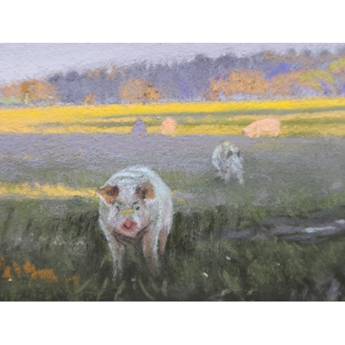 2079 - Kieron Williamson (contemporary): pastel, Southrepps Pigs, from the Six to Sixteen Exhibition 2019, ... 