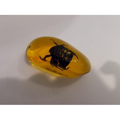 1053 - Green Beetle preserved in amber resin. UK P&P Group 1 (£16+VAT for the first lot and £2+VAT for subs... 