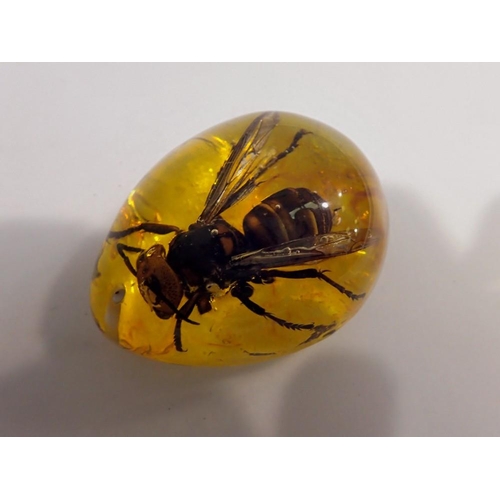 1056 - Hornet preserved in amber resin. UK P&P Group 1 (£16+VAT for the first lot and £2+VAT for subsequent... 