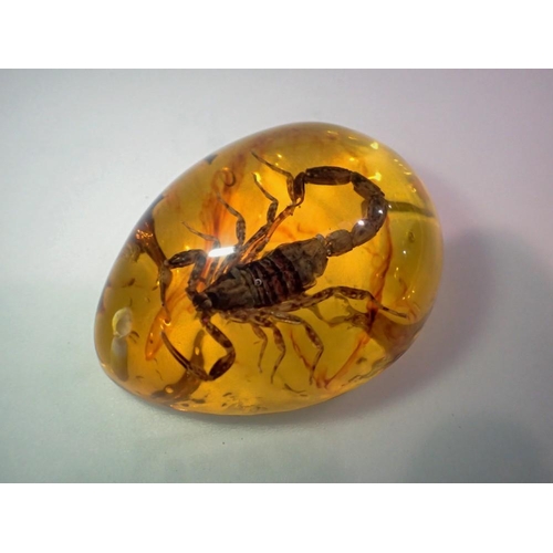 1059 - Scorpion preserved in amber resin. UK P&P Group 1 (£16+VAT for the first lot and £2+VAT for subseque... 