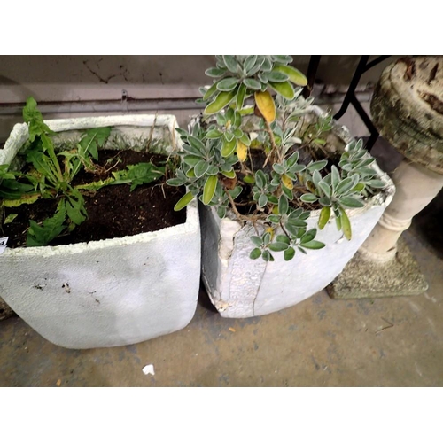 1754 - Two reconstituted stone plant pots. Not available for in-house P&P