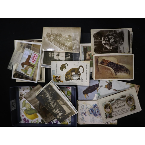 209 - Vintage postcards, photographs and cigarette cards. Not available for in-house P&P