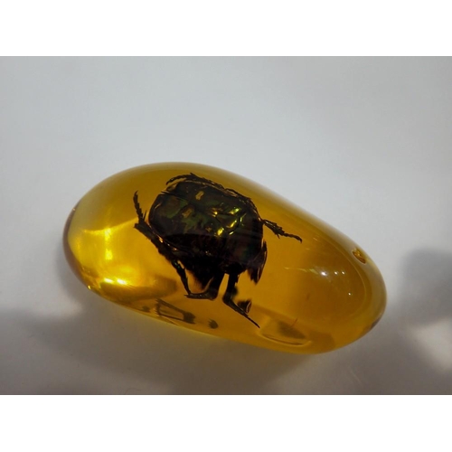 1057 - Green Beetle preserved in amber resin. UK P&P Group 1 (£16+VAT for the first lot and £2+VAT for subs... 