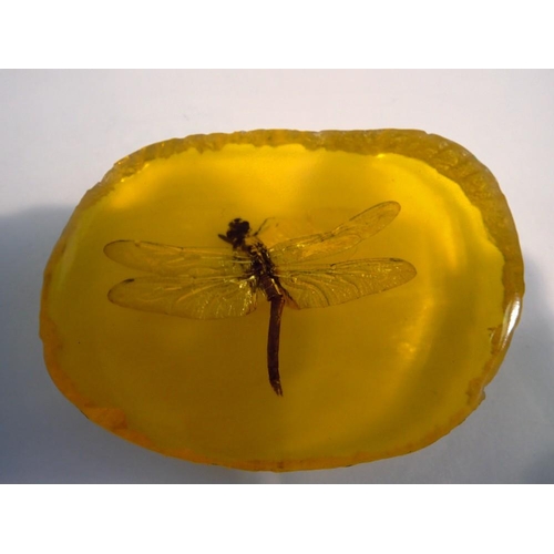 1072 - Dragonfly preserved in amber resin. UK P&P Group 1 (£16+VAT for the first lot and £2+VAT for subsequ... 