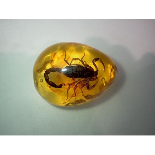 1079 - Scorpion preserved in amber resin. UK P&P Group 1 (£16+VAT for the first lot and £2+VAT for subseque... 