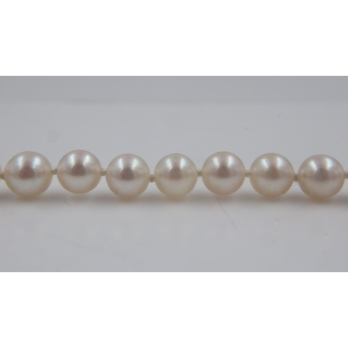 11 - String of pearls, with an 18ct gold clasp, L: 40 cm. UK P&P Group 0 (£6+VAT for the first lot and £1... 