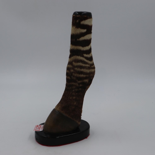 248 - Taxidermy zebra lower leg mounted on a wooden base, H: 32cm. UK P&P Group 1 (£16+VAT for the first l... 