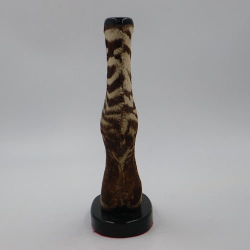 248 - Taxidermy zebra lower leg mounted on a wooden base, H: 32cm. UK P&P Group 1 (£16+VAT for the first l... 