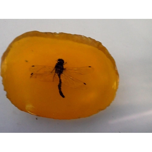 1071 - Dragonfly preserved in amber tree resin. UK P&P Group 1 (£16+VAT for the first lot and £2+VAT for su... 