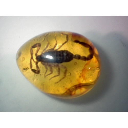 1129 - Scorpion preserved in amber tree resin. UK P&P Group 1 (£16+VAT for the first lot and £2+VAT for sub... 