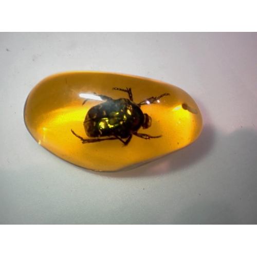 1177 - Green beetle preserved in amber tree resin. UK P&P Group 1 (£16+VAT for the first lot and £2+VAT for... 