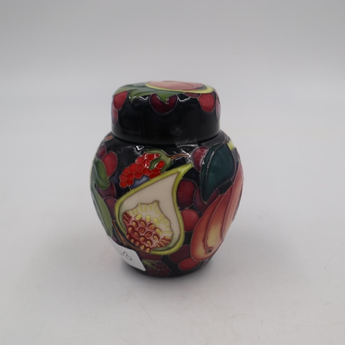 243 - Moorcroft ginger jar in the Queens Choice pattern, no cracks or chips. H: 10.5cm. UK P&P Group 1 (£1... 