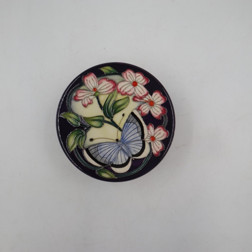 260 - Moorcroft lidded pot in the Blue Gaurdians pattern, no cracks or chips. D: 11cm. UK P&P Group 1 (£16... 