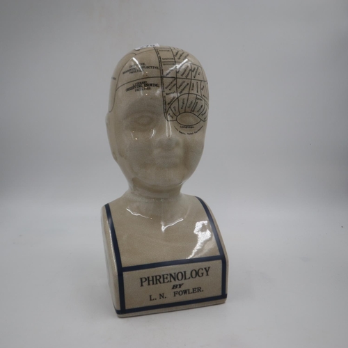 279 - Extra large Phrenology head. H: 40cm. Not available for in-house P&P