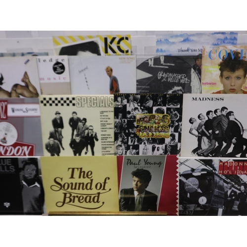 391C - Fourteen vinyl albums mostly from the 1980s, Madness, Specials, Frankie Goes to Hollywood, plus a co... 