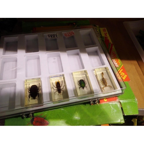 1045 - Four issues of Real Life Bugs and Insects, including bugs in resin. Not available for in-house P&P