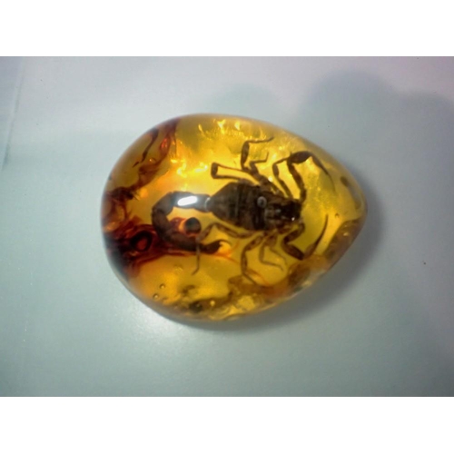 1067 - Scorpion preserved in amber tree resin. UK P&P Group 1 (£16+VAT for the first lot and £2+VAT for sub... 