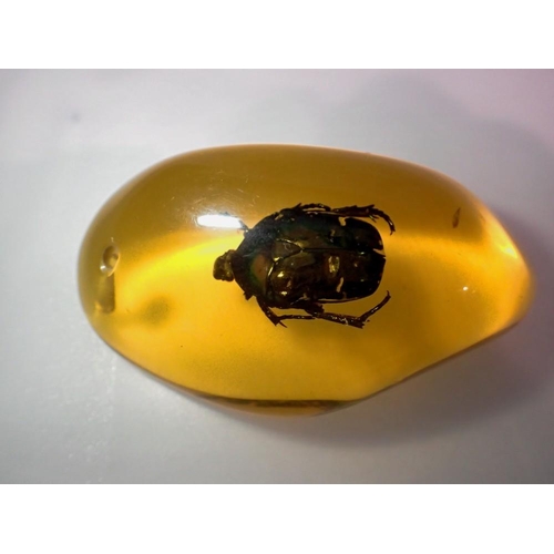 1068 - Green beetle preserved in amber tree resin. UK P&P Group 1 (£16+VAT for the first lot and £2+VAT for... 