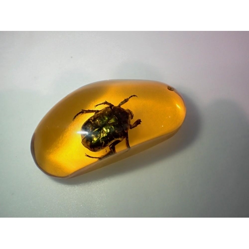 1074 - Green beetle preserved in amber tree resin. UK P&P Group 1 (£16+VAT for the first lot and £2+VAT for... 