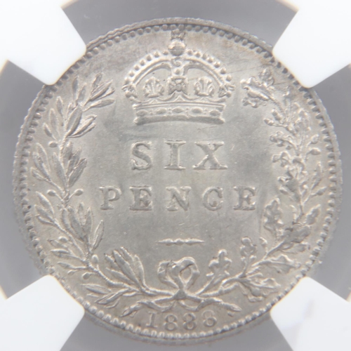 2013 - 1888 NGC slabbed silver sixpence - AU55.  UK P&P Group 0 (£6+VAT for the first lot and £1+VAT for su... 