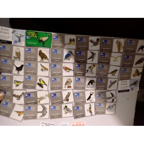 1050 - Thirty four RSPB pin brooches, all different British bird species. Not available for in-house P&P