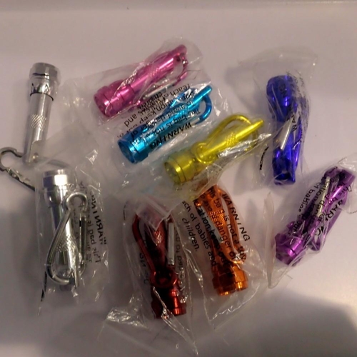 1069 - Quantity of pocket torches with carabiners.UK P&P Group 1 (£16+VAT for the first lot and £2+VAT for ... 