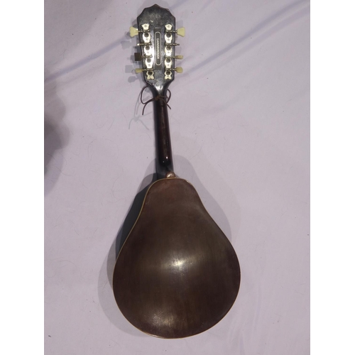 366 - Gainsborough mandolin, some attention required to machine heads. Not available for in-house P&P